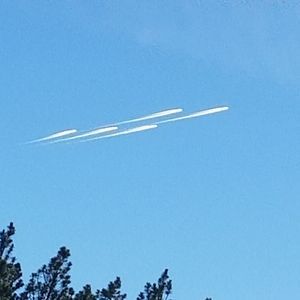 Meet your Posher, Allen